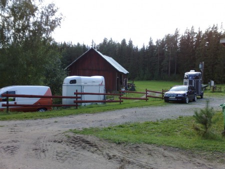 Häst-transportering